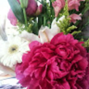 Meet your Posher, Wendy